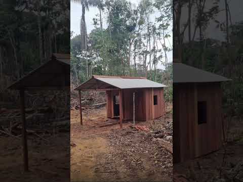 Fazenda em Roraima, em São João da Baliza de 1411 hectares, tá pedindo 2.500 por hectares