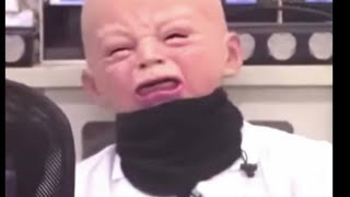 ガキ使でマイアヒ