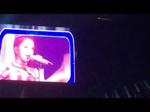 190427 Blackpink Don’t Know What To Do- In Your Area World Tour in Hamilton