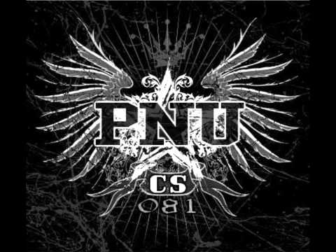 PNU feat. Saio WT - Dzięki tej muzyce.wmv