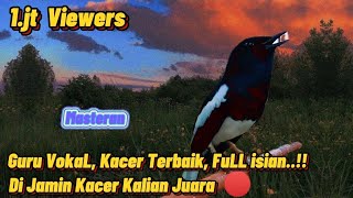 Download lagu Masteran Kacer Juara Paling di Cari | Full isian, Dalam hitungan Detik Pasti nyaut!!🔴 mp3 Download lagu Masteran Kacer Juara Paling di Cari | Full isian, Dalam hitungan Detik Pasti nyaut!!🔴 mp3