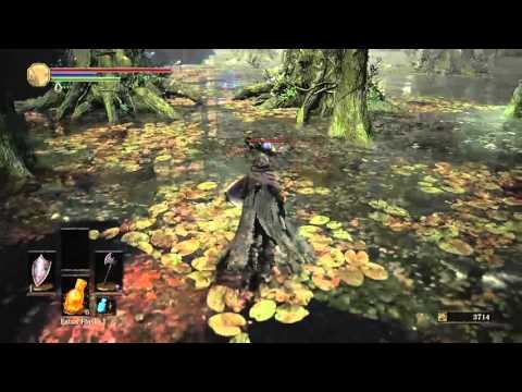 Dark Souls 3 Deprived run (Part 14)