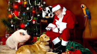 CHICAGO (BILL CHAMPLIN) -SANTA CLAUS IS COMING TO TOWN (LIVE) (CHRISTMAS)