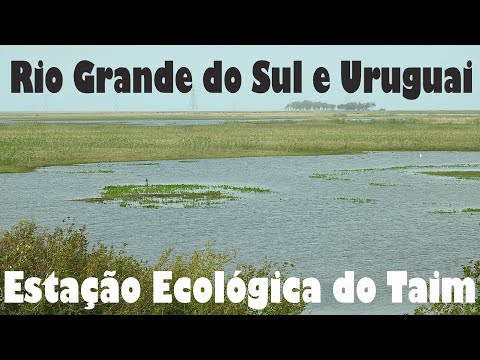 Rio Grande do Sul e Uruguai - Estação Ecológica do Taim
