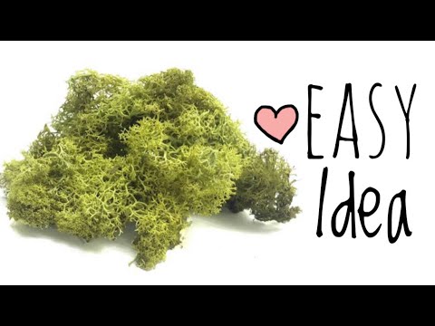 Extraordinarily Beautiful Idea with Natural Seaweed! Look What I Did!