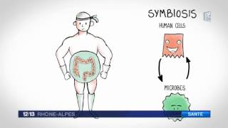 Chronique Santé : Essai clinique sur la flore intestinale aux hôpitaux sud de Lyon