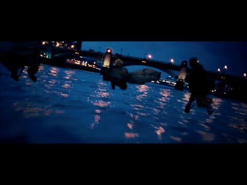 Harry Potter and the Order of the Phoenix - Flight of the Order of the Phoenix