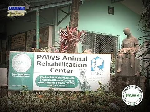 Pets and Friends: PAWS - Business & Leisure Pets and Friends: PAWS - Business & Leisure