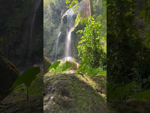 La belleza de la Cascada de Soroa 💚🌊 Artemisa🌴Cuba 😍 #cubatravel #cubanosenelmundo #cuba