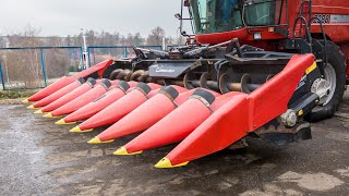 Geringhoff HORIZON STAR 8X75 - DOCINACZ - 2008 ROK corn header for sale image 4 Geringhoff HORIZON STAR 8X75 - DOCINACZ - 2008 ROK corn header image 4