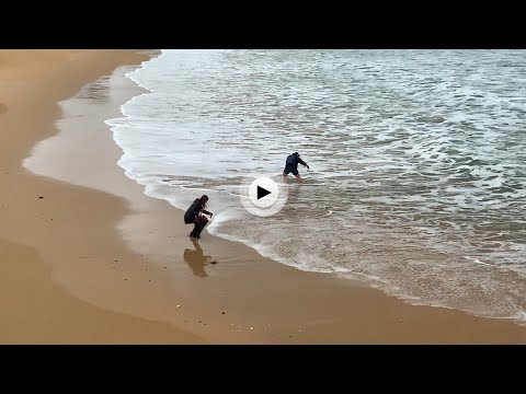 Si te preguntas que hacen ahí a estas horas de la mañana, tendrás que mirar el vídeo