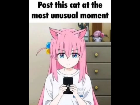 VT skyTS Advanced GM 1300