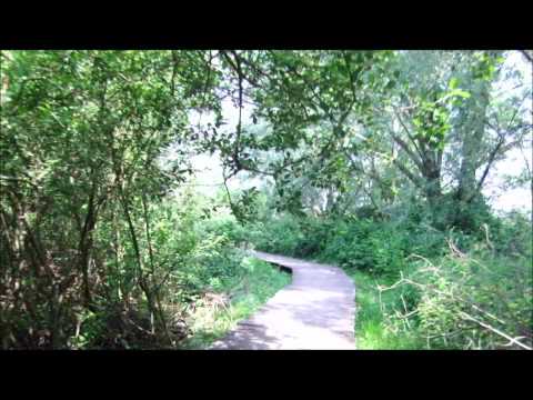 Gita primaverile in bici a Trenno, Bosco in Città, Figino e Pero