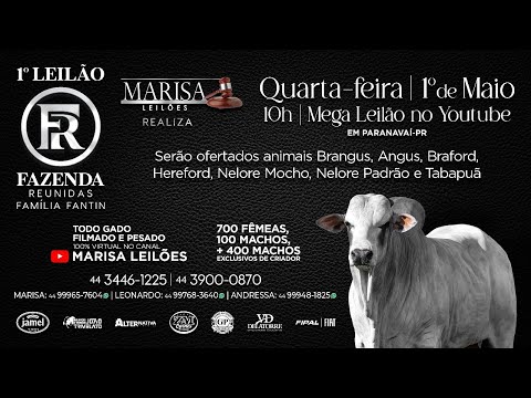 Leilão - Ao Vivo Marisa Leilões - 01 de MAIO 2024  -  Paranavaí-PR