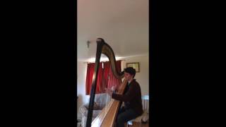 John Thomas: Watching the Wheat (Caolan Walpot - harp)