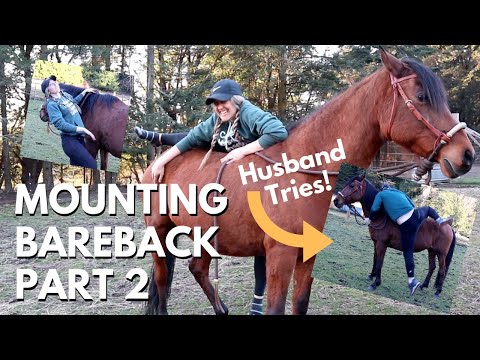 Trying to Mount Bareback...AGAIN! | Equestrian