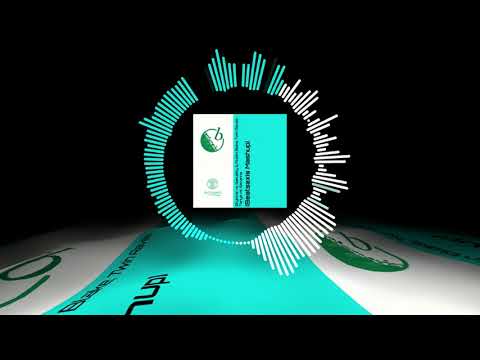 Skytone vs. BakuBoy & Austin Blake, Twin Raves - Tanya vs. Savanna (Beatsaxis Mashup) | BAX Family