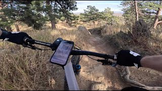 Maverick - White Ranch Park - Golden - Colorado