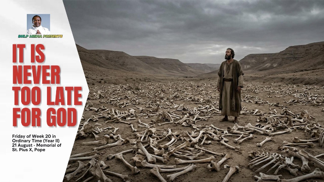 TODAY'S REFLECTION thumbnail