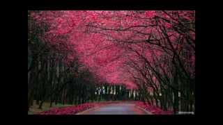 Download lagu OST Projek Memikat Suami Buatmu Cinta_Full Song with Lyrics mp3 Download lagu OST Projek Memikat Suami Buatmu Cinta_Full Song with Lyrics mp3