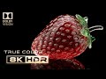 Most Beautiful 8K HDR 60FPS Dolby Vision 4K 8K Video TV