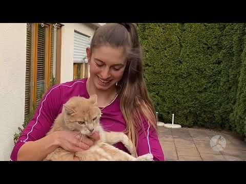 #DreamsAreMadeAtHome: Die Fitness-Challenge