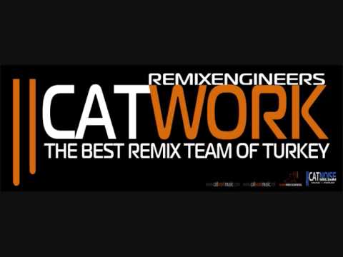 Catwork Remix Engineers & Far East Movement - Live My Life