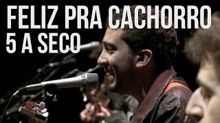 Feliz pra cachorro Music Video