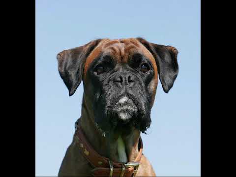 DJ Schinkensuppe-Blue Sky