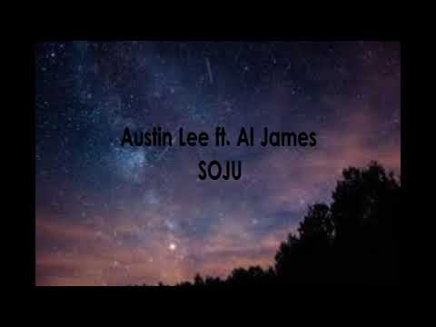 Austin Lee feat. Al James - Jay Park SOJU remix (audio)