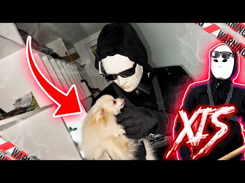 O XIS PEGOU A CINDY !!! ( EP 3 TEMP 8 )