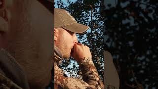 Bockjagd am Fuße des Riesengebirges 🇵🇱 Zu Gast bei The Hunting Hub von  ⁨@WildboarFanatic⁩