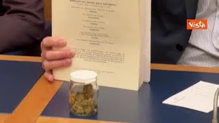 Magi (+Europa) porta cannabis alla Camera in occasione di 4/20, la giornata mondiale della...