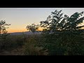 From Dust to Bloom: The Desert After Rain