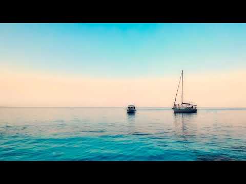 Steady Wisdom - The People vs. Life (Cafe D'Afrique)