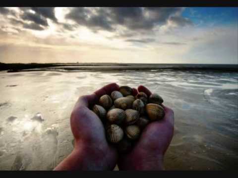 Laurent Voulzy Le Rêve Du Pêcheur