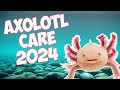 Complete Axolotl Care Guide for 2024