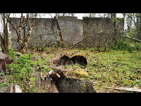 DEN NEDBRUNNA GÅRDEN mellan BJÖRKETORP och DJURTORP - 210507 - Listerby - RONNEBY Huawei p30 PRO