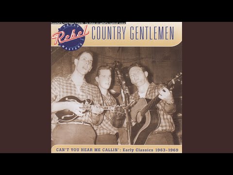 Blue Ridge Cabin Home