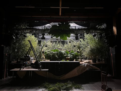 AFTER MOVIE - UNDERGROWTH | UFO x PLM