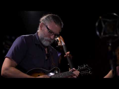 The Wandering Hours - "Catching Lightning Bugs"