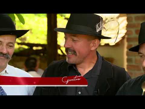 Gasztroangyal 29. rész - Lovastúra (2016)