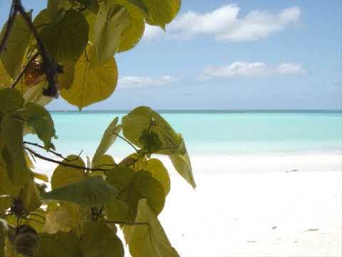 Shyn - Avy tagny ( Version originale )