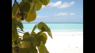 Download lagu Shyn - Avy tagny ( Version originale ) mp3