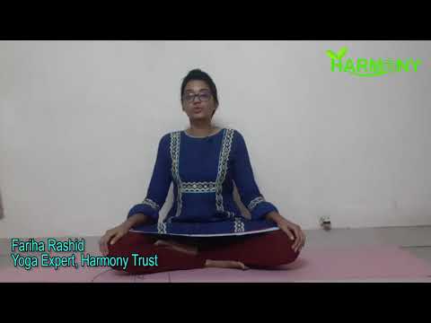 Anjali Mudra (Gesture of Salutation)