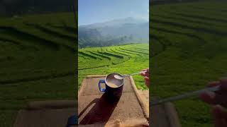 Download lagu story wa pagi hari ngopi #short #ngopipagi #traveling #pesonaalam mp3 Download lagu story wa pagi hari ngopi #short #ngopipagi #traveling #pesonaalam mp3
