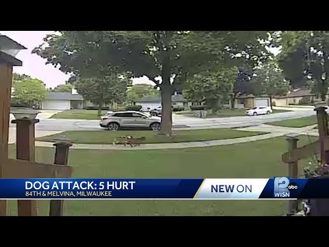 Five people injured in dog attack; One victim feared for her life