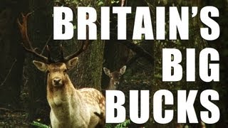 Fieldsports Britain – How to call in great big bucks (episode 152)