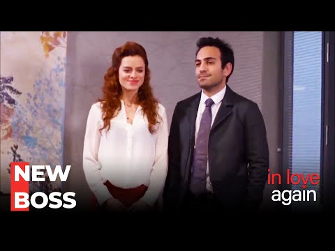 Zeynep Became the New Boss of the Company - In Love Again