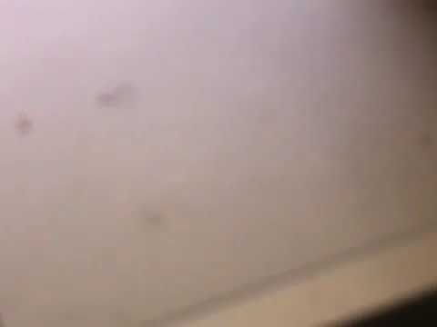 Gil Moss Nergal Knows What He Must To Do